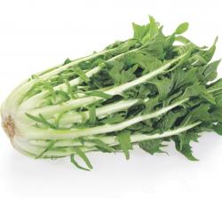 Seme povrća: Pitoma Zucenica salata (seme) Pitoma cikorija