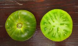 Seme povrća: Zeleni Beefsteak paradajz (odlican!) heirloom seme