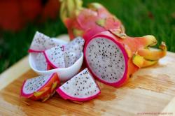 Seme voća: Dragon fruit - Hylocereus undatus ( Pitaya ) seme