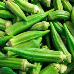 Seme povrća: Hibiscus esculentus - Bamija (okra ) 25 semenki