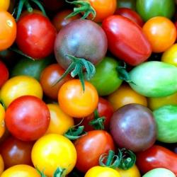 Seme povrća: HEIRLOOM CHERRY paradajz MIX (seme)