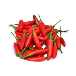 Seme povrća: Mexican hot chili (seme)