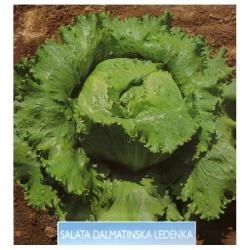 Seme povrća: Salata Dalmatinska Ledenka (seme) Kristalka 