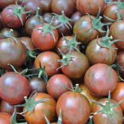 Seme povrća: Cherry Zebra Stara sorta Paradajz (seme ) Heirloom