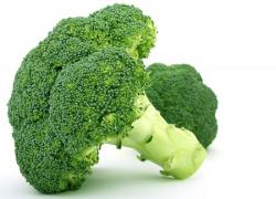 Seme povrća: Brokoli Corvet (seme)