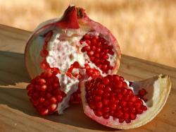 Seme voća: Nar - Punica granatum (seme)