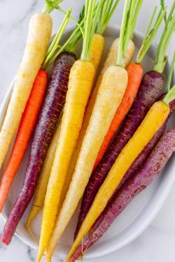 Seme povrća: Mix sargarepa raznih boja (seme) rainbow carrot mix Heirloom