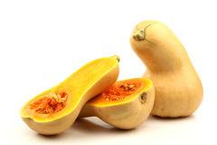 Seme povrća: Bottle pumpkin bundeva (seme)