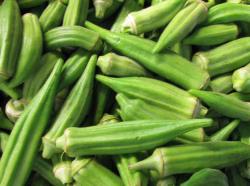Seme povrća: Hibiscus esculentus - Bamija (okra ) 25 semenki