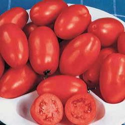 Seme povrća: Roma paradajz (seme)