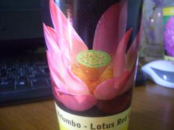 Akvarijumske biljke: LOTOS/NELUMBO/seme Red Li