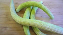 Seme povrća: Jermenski krastavac