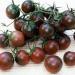 Seme povrća: Crni koktel + Crni rus paradajz (seme) heirloom, slika1