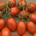 Seme povrća: Crvena sljiva paradajz stara sorta! (seme) Heirloom, slika1