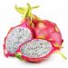 Sadnice - voće: Dragon fruit (sadnica), slika2
