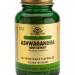 Začini i lekovito bilje: Withania somnifera - Ashwagandha ( Indijski ginseng ) seme, slika3