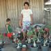 Sadnice - sobne biljke: Adenium sadnice 15cm , slika1