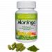 Začini i lekovito bilje: Moringa oleifera - DRVO CUDO!!! (seme), slika2