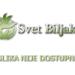 Sadnice - žbunaste vrste: HIBISKUS bastenski - beli, slika1