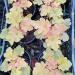 Perene: Heuchera Caramel, slika1